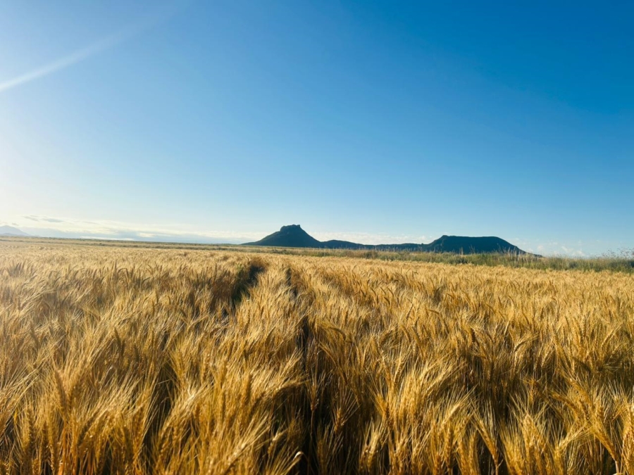 Commercial Property for Sale in Zastron Rural Free State
